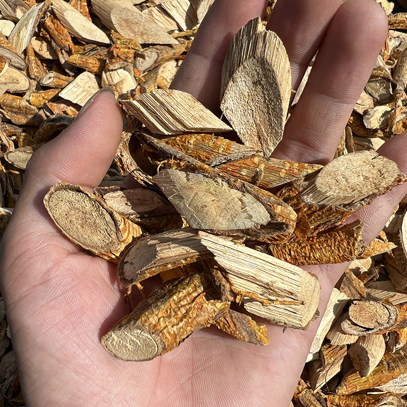 野生穿破中药材构棘根小柘树根九层荔枝新鲜晒干其他药食同源食品