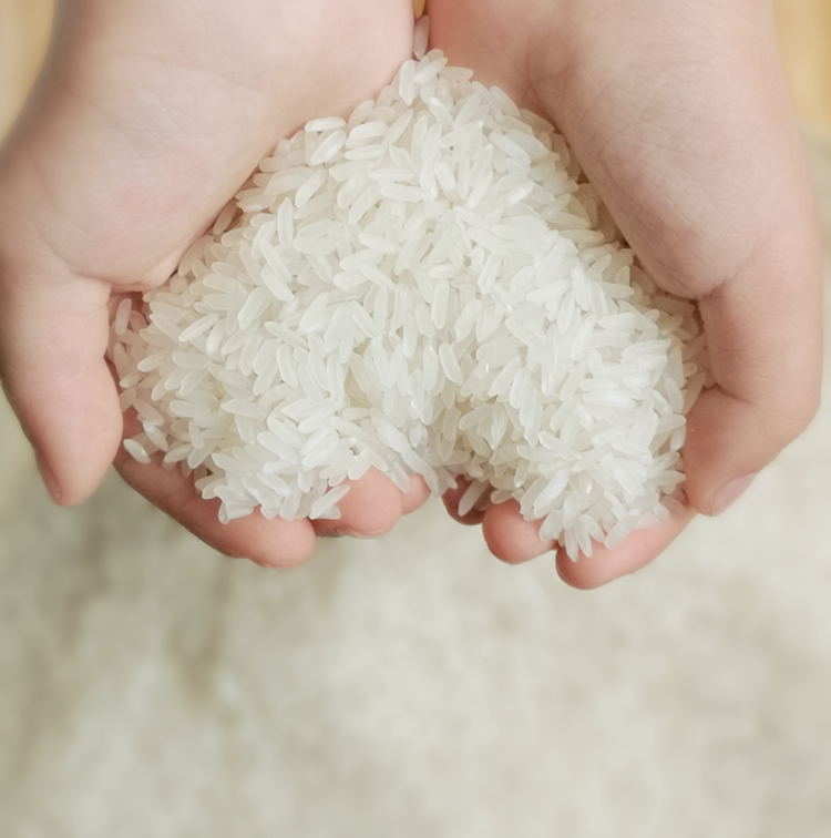 茉莉茉莉香香米长粒江苏大米宿迁新米29斤49斤大米