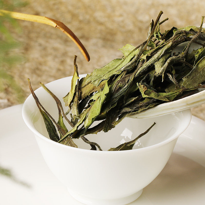 瑞聘号老树茶叶白茶叶贡眉荒野福鼎特级太姥山高品质贡眉