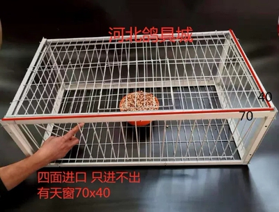捕鸽神器自动捕鸽子用品用具撞笼鸽笼鸽子进门器巢箱养殖配对笼