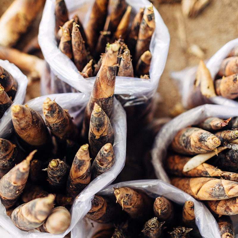 归晓宁波特产2021新鲜即食雷笋竹笋下饭菜2802瓶奉化油焖笋罐头