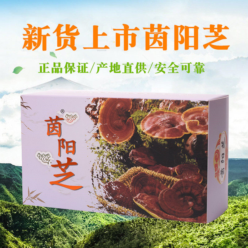 茵阳芝 官网正品茵阳芝灵芝【中片】100克『买2送1』防伪验证包邮