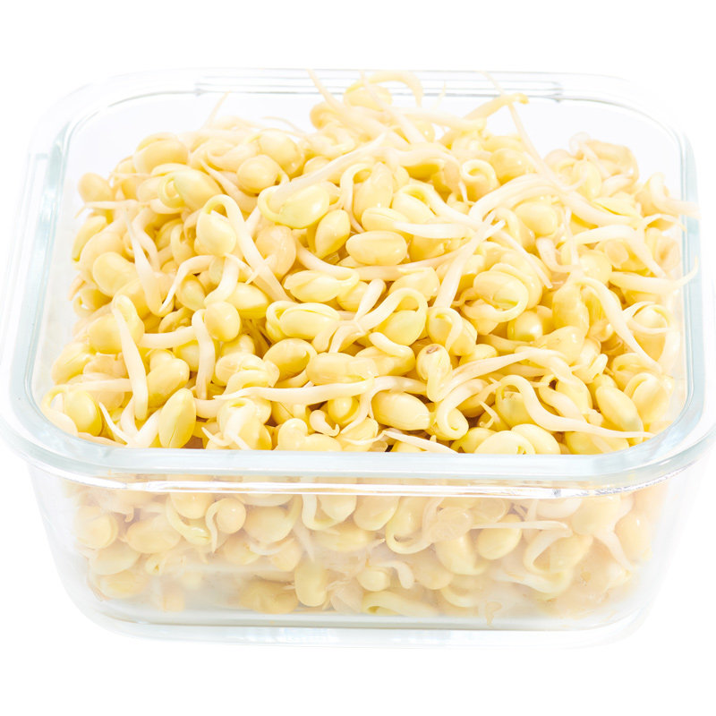 绿源禾心鲜嫩嫩黄豆芽短芽新鲜蔬菜500g新鲜豆类