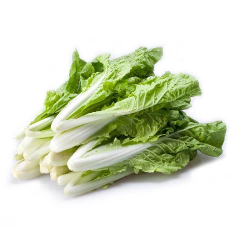 绿源禾心有机小白菜新鲜蔬菜农家种植采摘500g叶菜类