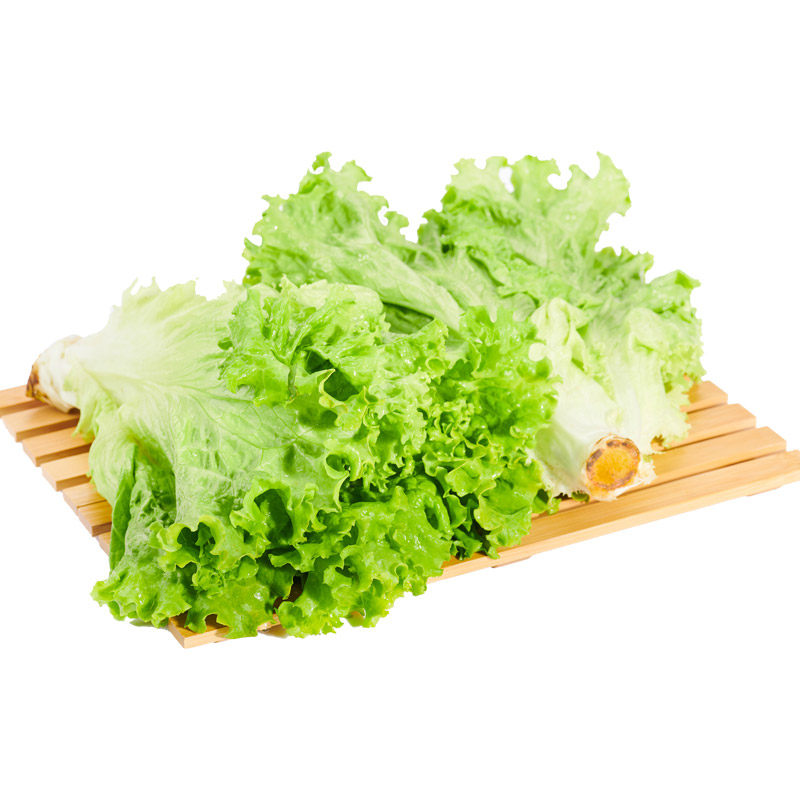 绿源禾心有机生菜新鲜蔬菜农场种植采摘500g叶菜类