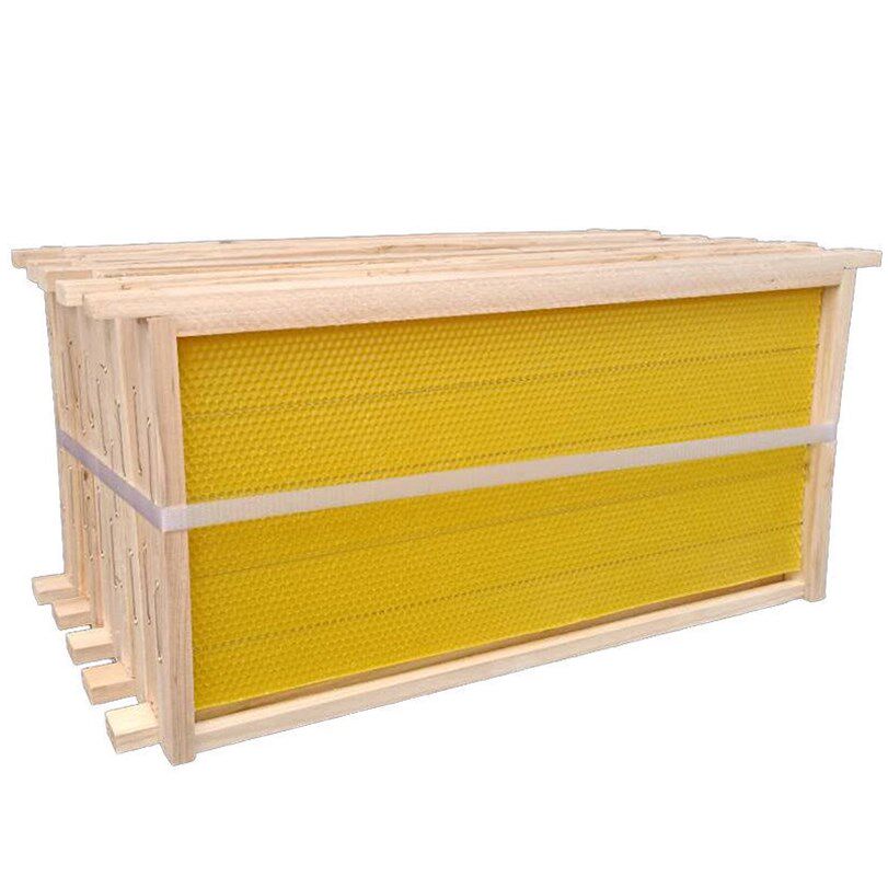 蜜蜂巢础中蜂成品巢框10个装养蜂工具蜂箱巢框意蜂巢框蜂巢基全套