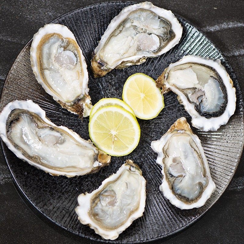 大连生蚝鲜活超大新鲜即食海5斤净重海鲜水产生蚝