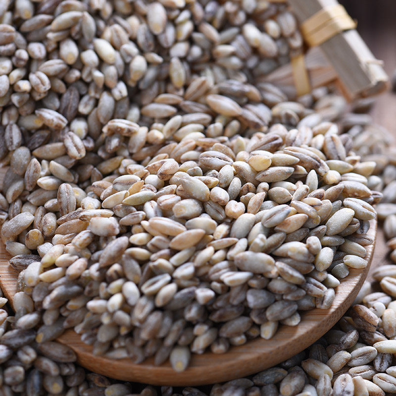 买3送2青海蓝青稞麦仁裸大麦五谷粗粮杂粮蓝青稞米高原青稞粒500g_双