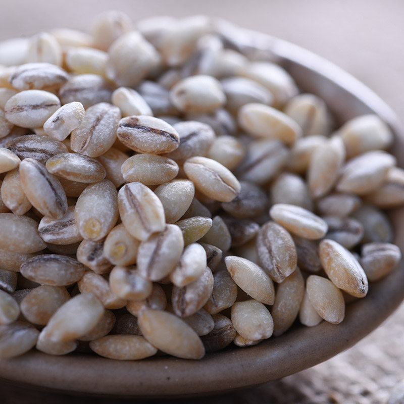 常降堂青海白青稞精选青稞米去皮蓝青稞麦仁甜醅原料裸大麦5斤