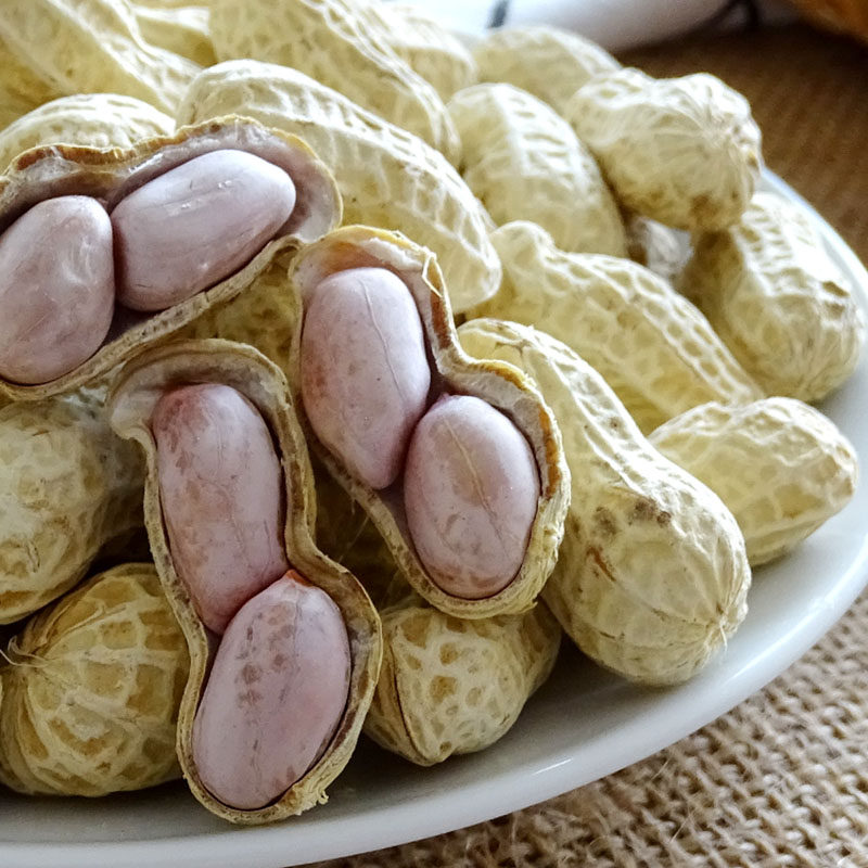农家晒干白晒干花生吃遍天盐水龙岩2包500g水煮花生
