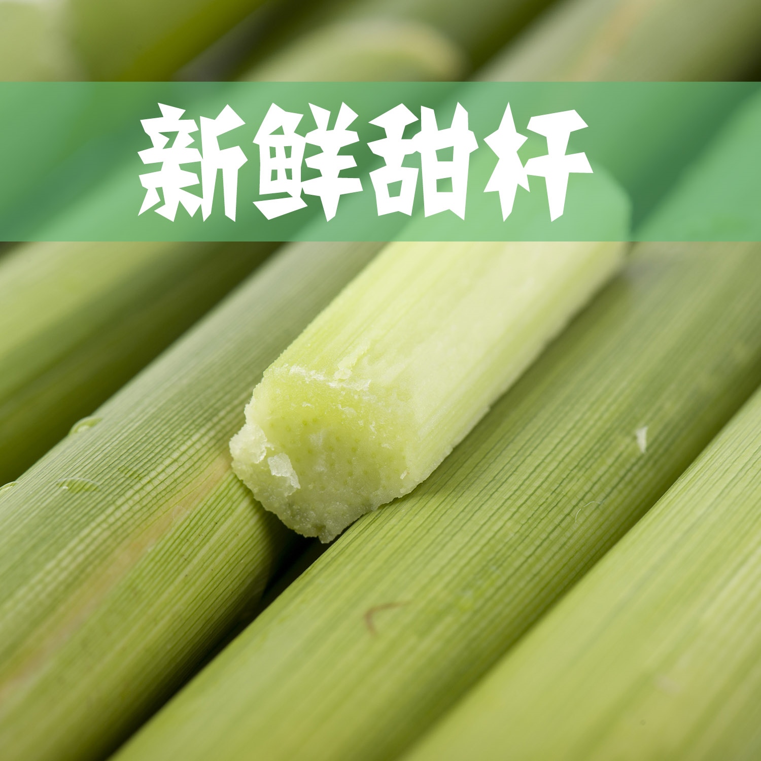 现砍高粱杆甜粟甜栗芦甜芦新鲜崇明以上中段其它