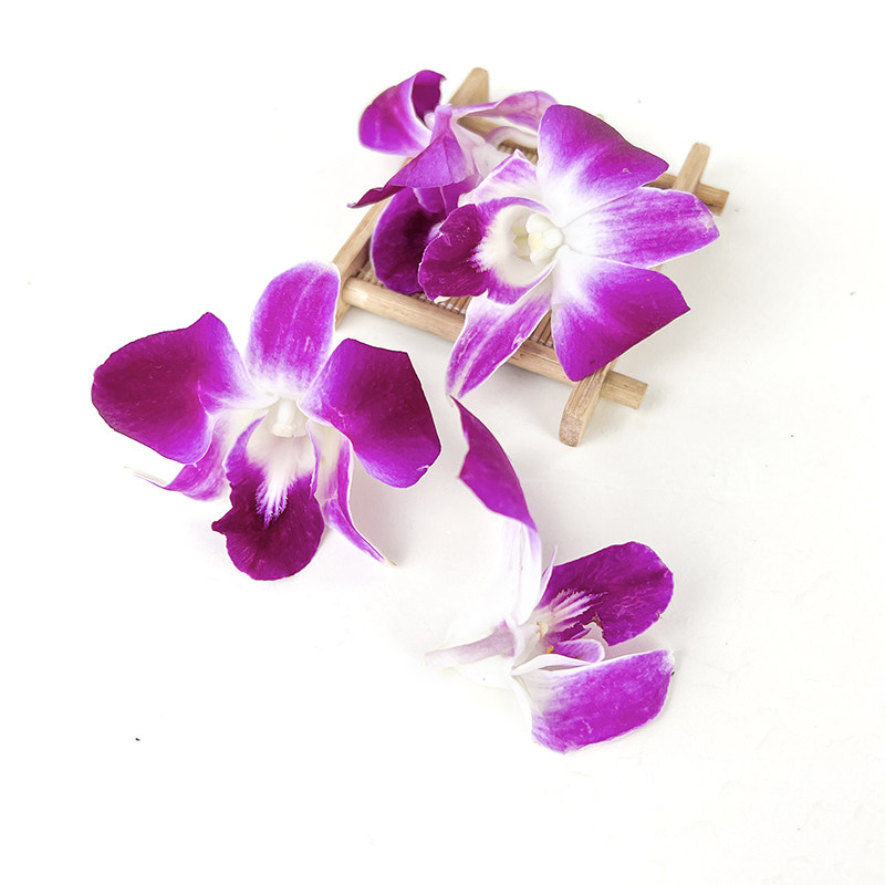 兰花新鲜饭店鲜花装饰摆盘点缀西餐酒店火锅其它