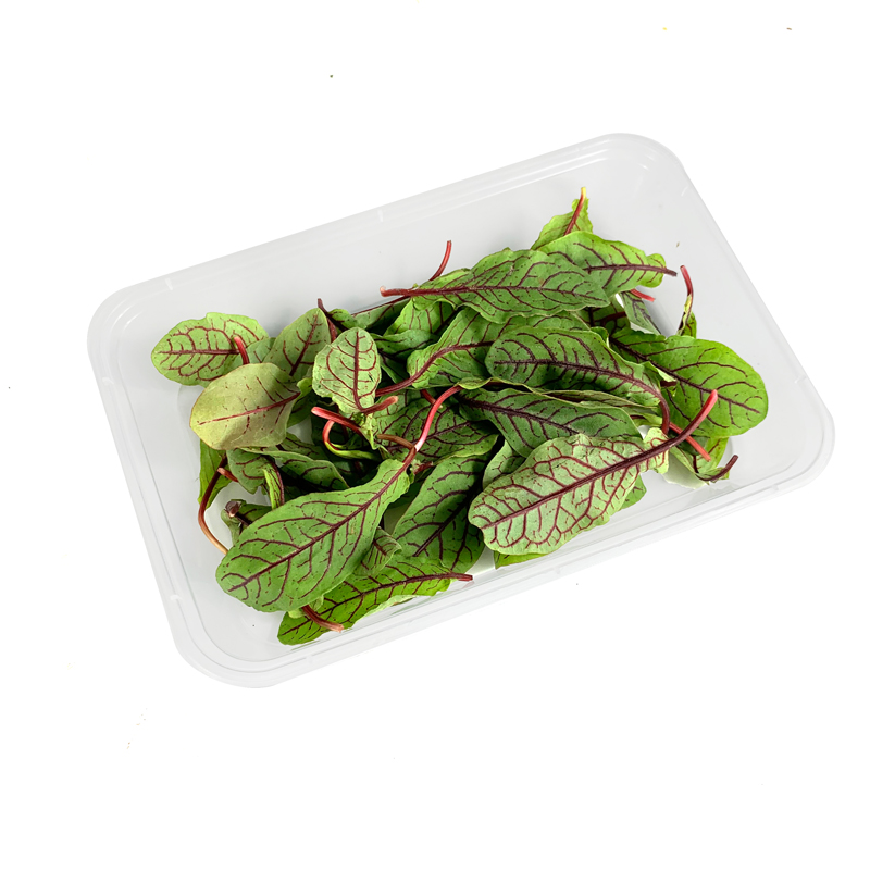 新鲜酸模叶40片食用红酸草酸膜叶酒店西餐日料叶菜类