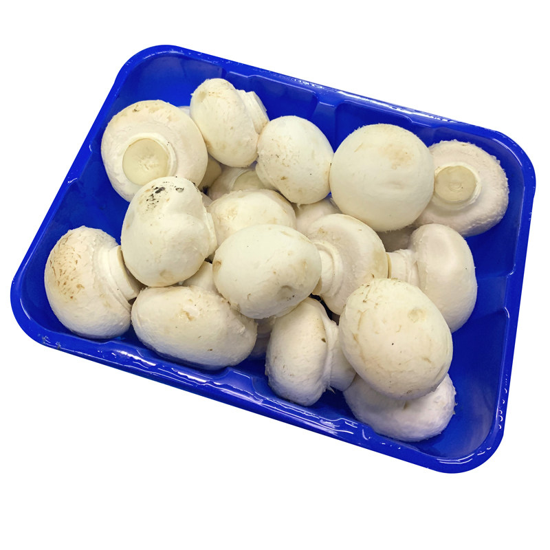 蘑菇新鲜1斤食用菌口蘑鲜白口菇双孢菇5件包邮新鲜松茸