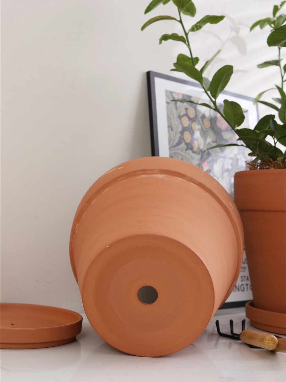 红陶盆多肉植物陶瓷花盆圆形盆底底部有孔托盘花盆