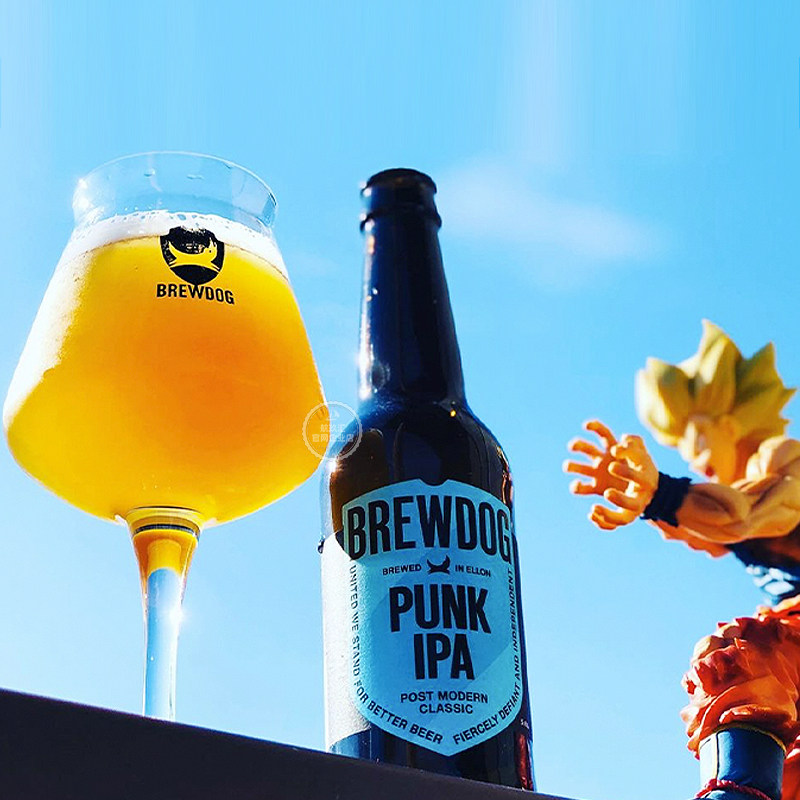 玖汇英国进口酿酒朋克啤酒brewdogpunkipa精酿啤酒