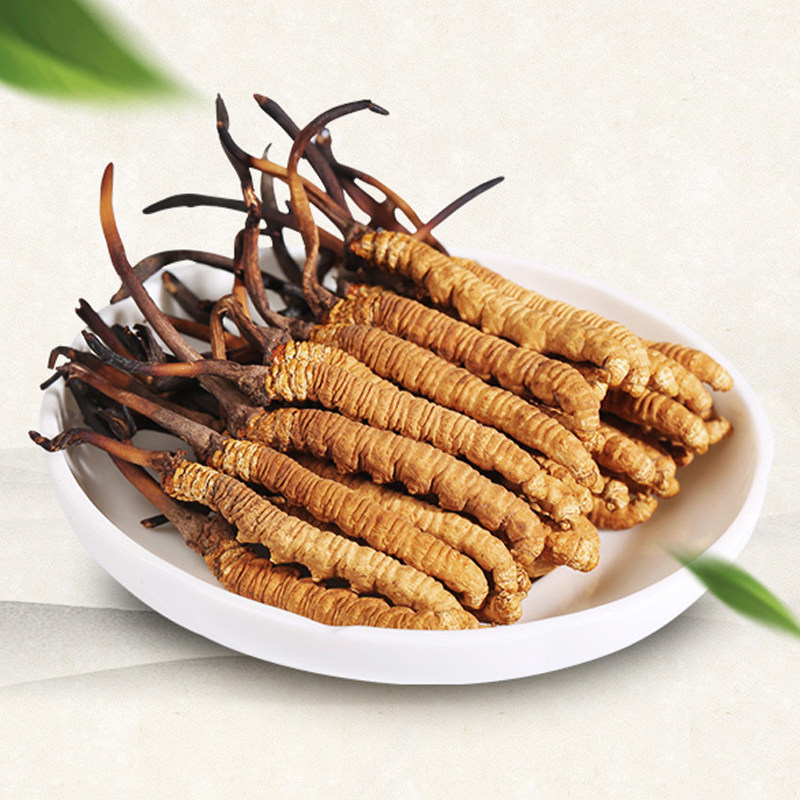 西藏那曲冬虫夏草正品青海玉树天然新鲜虫草正宗冬虫夏草