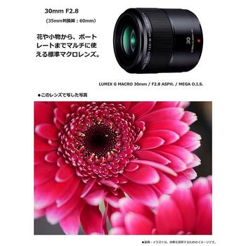 Panasonic Panasonic single focus macro lens half frame fixed focus portrait ring ring