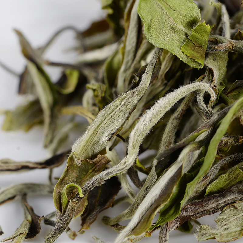 白牡丹山茶艺高工艺日晒500g散装春茶茶叶福建白牡丹