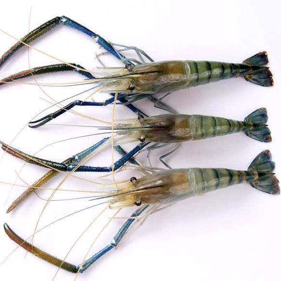 淡水虾王罗氏虾沼冷冻大青青虾冻虾海虾水产冻虾