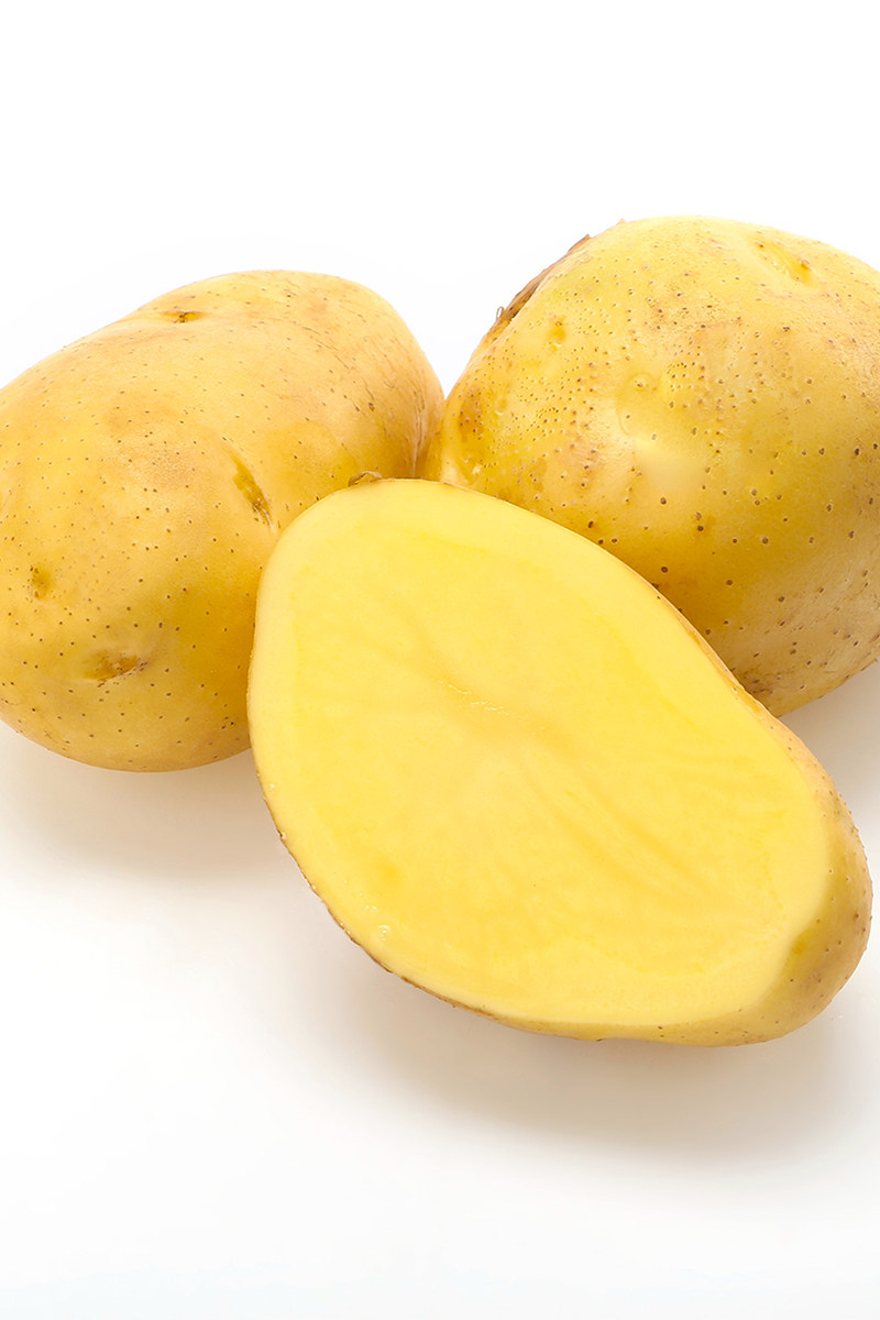 海拔3000高原香糯土豆新鲜黄皮黄皮黄马铃薯洋芋土豆