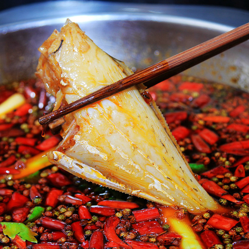 火锅食材耗儿鱼中小号冷冻扒皮海鲜马面鱼去头淡水鱼类