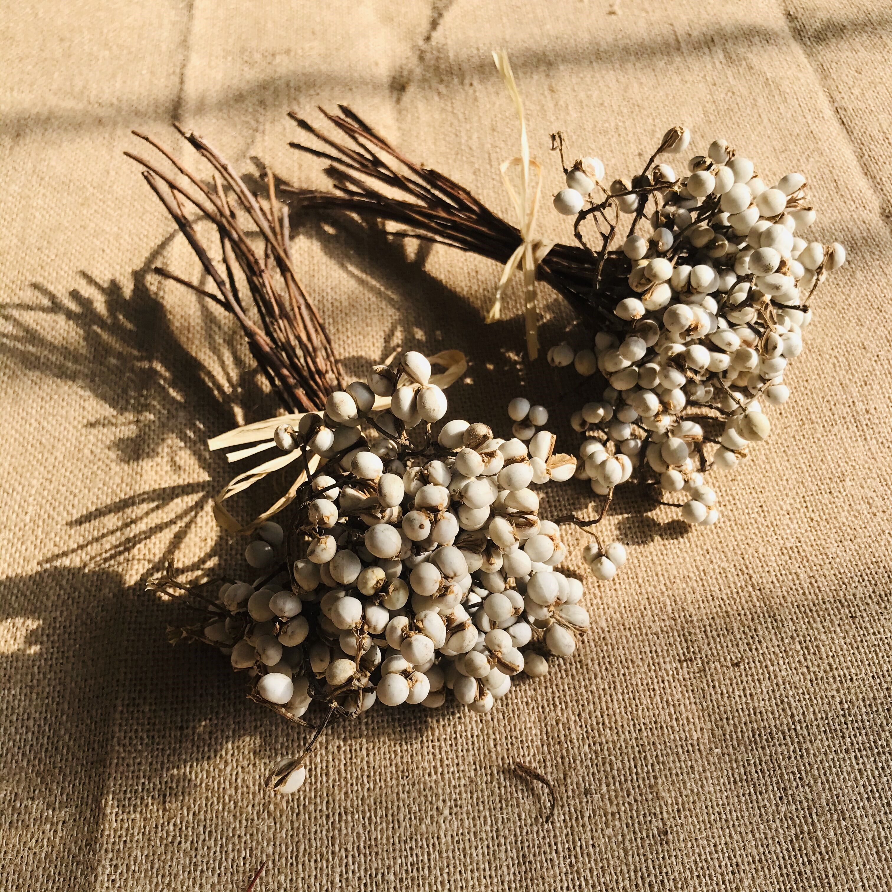 网红同款小白果干花白色薏米果乌桕果小清新花材diy香薰蜡烛干花  兽