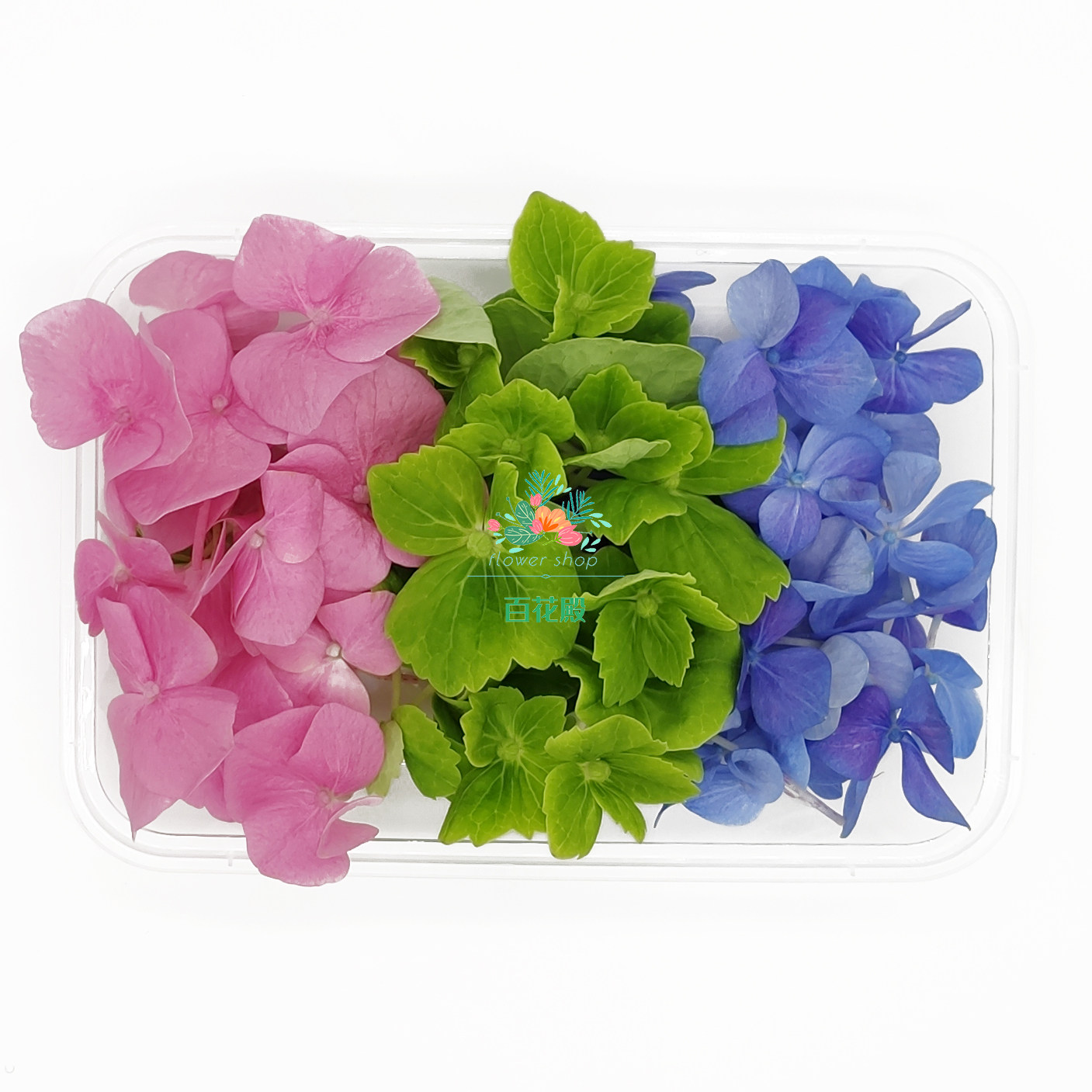 绣球新鲜三色花粉粉色蓝色绿色食用花草饭店其它