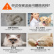 Cat comb dog hair comb is special grooming brush pet dog hair cat hair comb to float cleaner Cat Accessories Cat comb dog hair comb is special grooming brush pet dog hair cat hair comb to float cleaner Cat Accessories