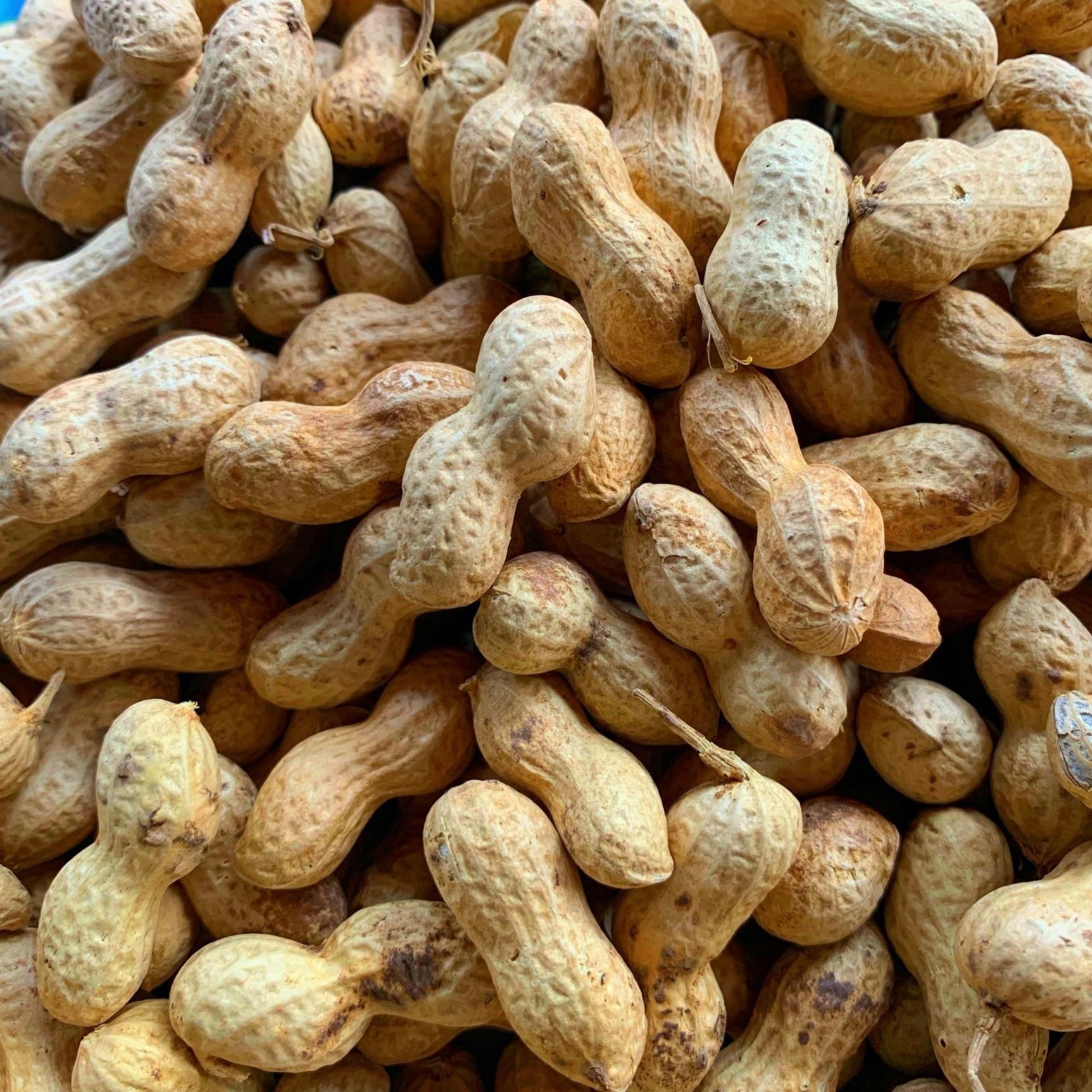 花生21年小花农家铁锅原味小子带壳生花生