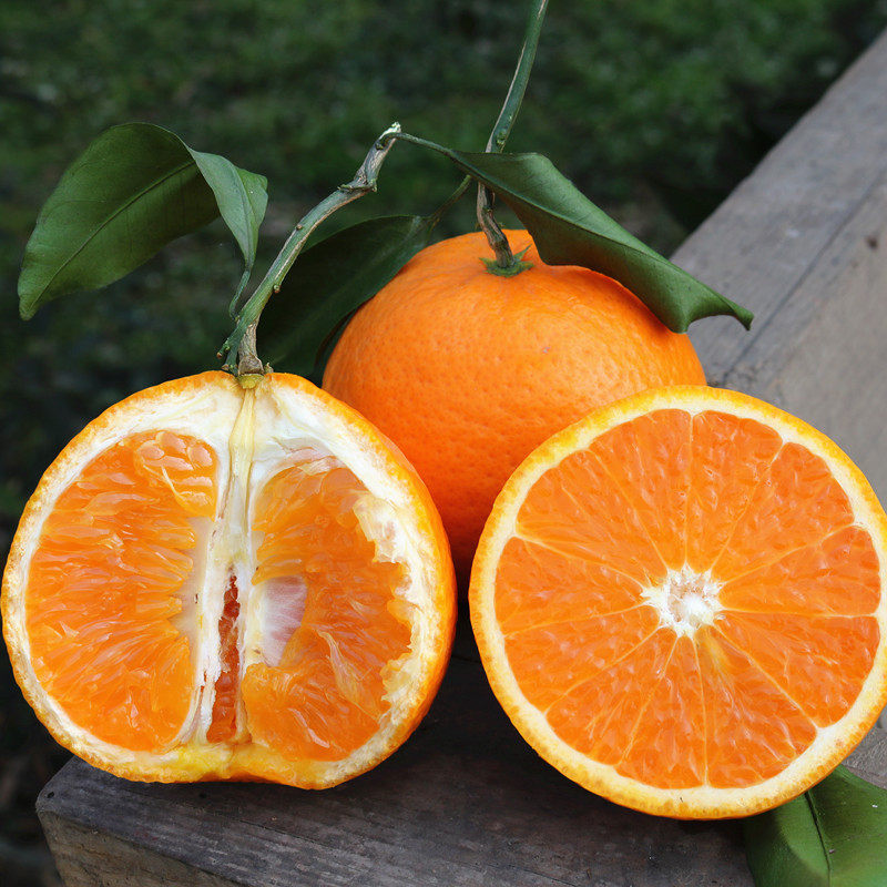 四川青见柑橘新鲜水果包邮整箱5斤当季桔子现应季橘子10丑甜多汁