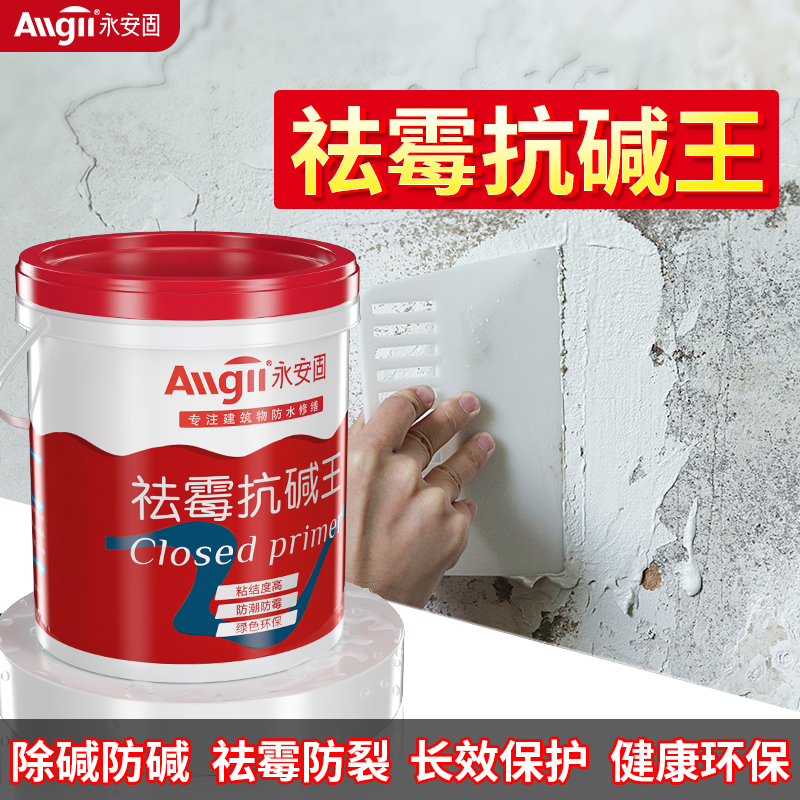 碱剂墙面反碱处理抗碱王泛碱克星防碱起碱返内墙界面剂