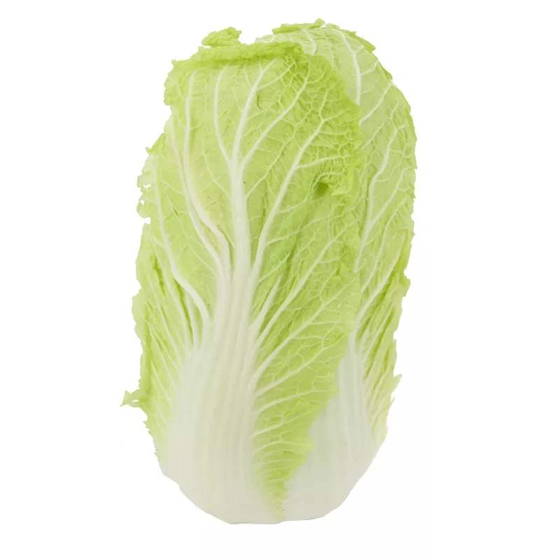 山东新鲜农家大白菜肉质细腻肥厚多汁甘甜可口鲜嫩水灵带箱5斤装