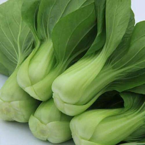 4斤现摘新鲜蔬菜上海青小油菜农家自种蔬菜类小青菜绿叶菜小白菜