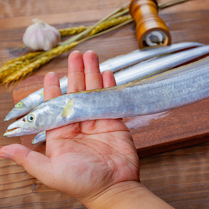 带鱼闽南现切本港福建海钓水产海鲜南珠新鲜带鱼
