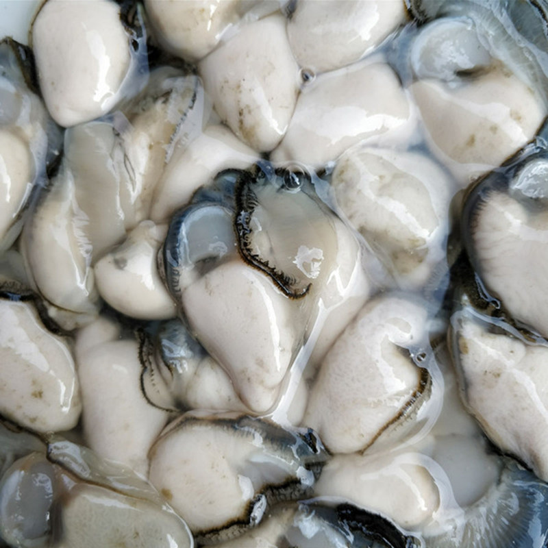 蚝肉新鲜现剥生3斤装汫洲去壳鲜活牡蛎1500g全国生蚝