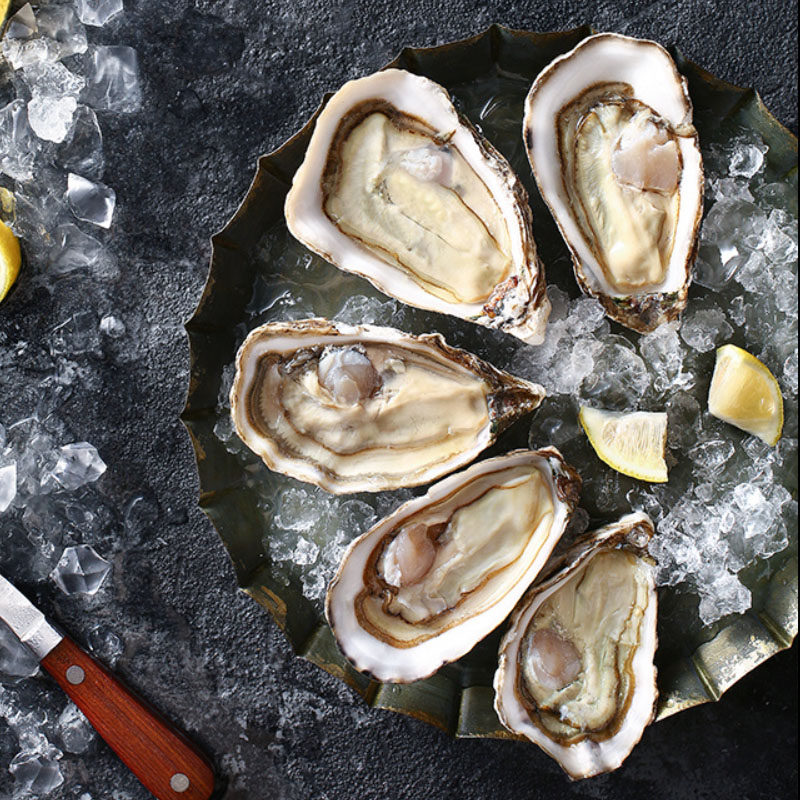 烧烤半成品海鲜食材炭烤生4只大号鲜活生蚝