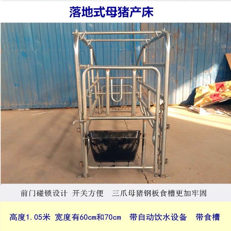 母猪产床落地式简易双体60cm70cm养猪设备猪场畜牧