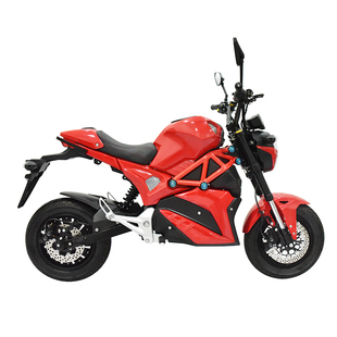 银钢小怪兽电动摩托车