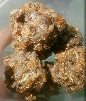 胶养发护发控脱原产地新疆和田发货全国包邮纯天然沙枣胶券后价￥87