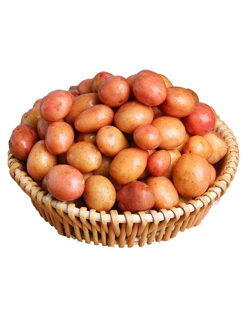 云南高山迷你小土豆新鲜10斤农家自种蔬菜红皮土豆