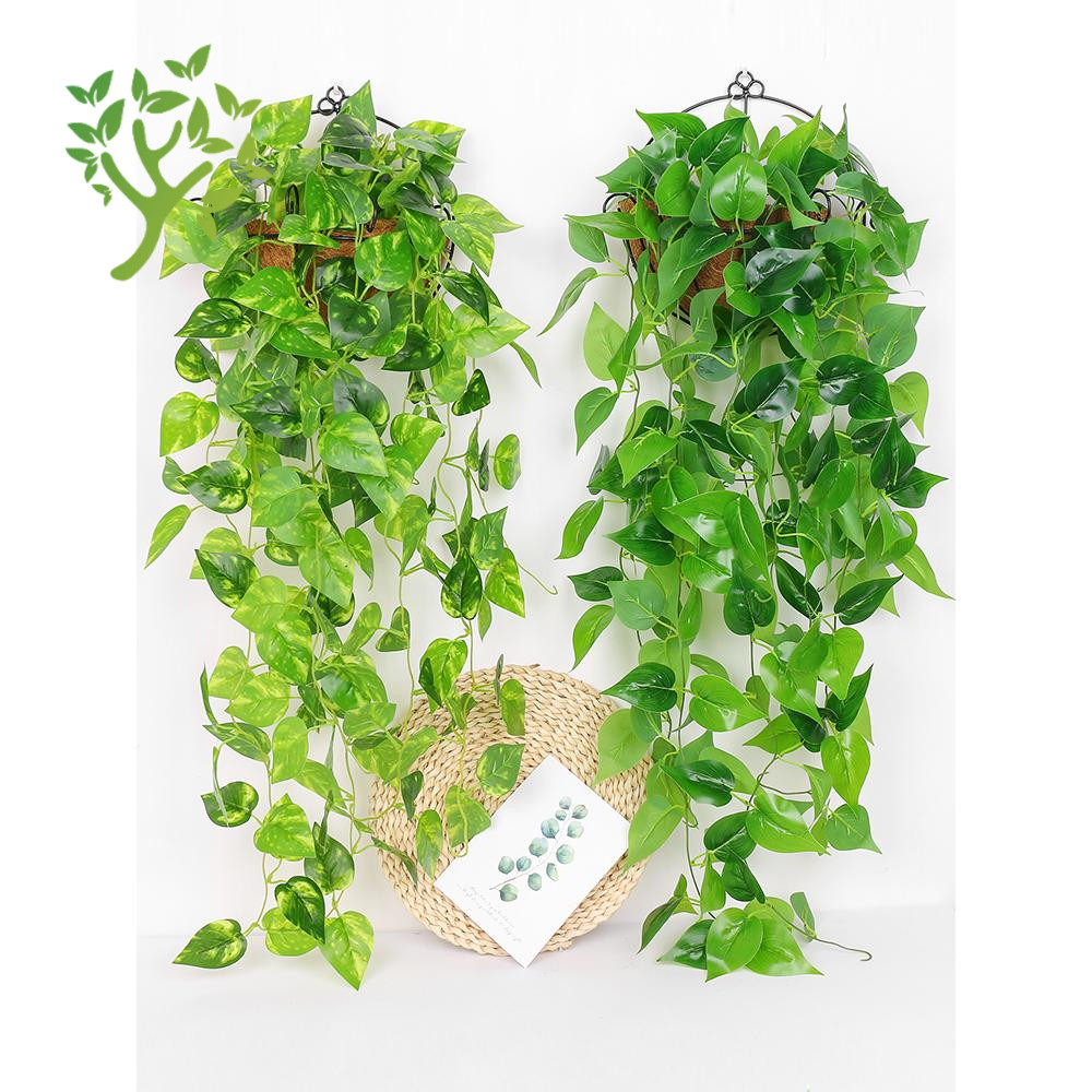 空调上的装饰花吊兰大叶子绿萝绿植客厅大盆仿真花