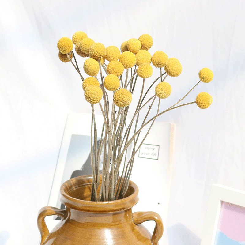 黄金球小清新插花文艺干枝装饰树枝客厅摆设家居干花
