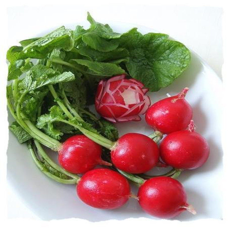 樱桃萝卜新鲜4斤蔬菜 迷你小萝卜小红萝卜生吃脆嫩多汁