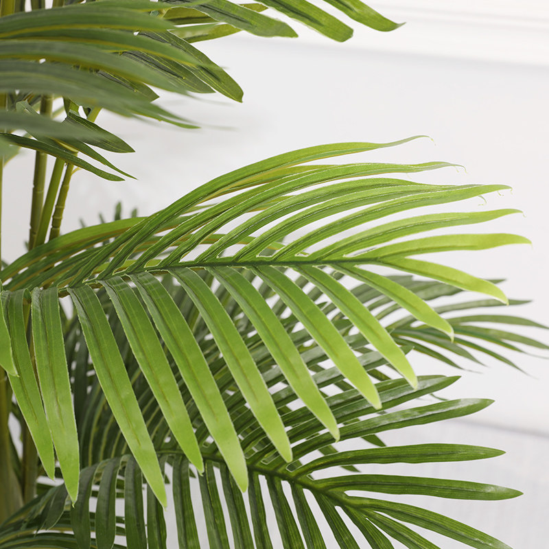 泰环仿真散尾凤尾竹假绿植植物盆栽家居客厅仿真植物盆景