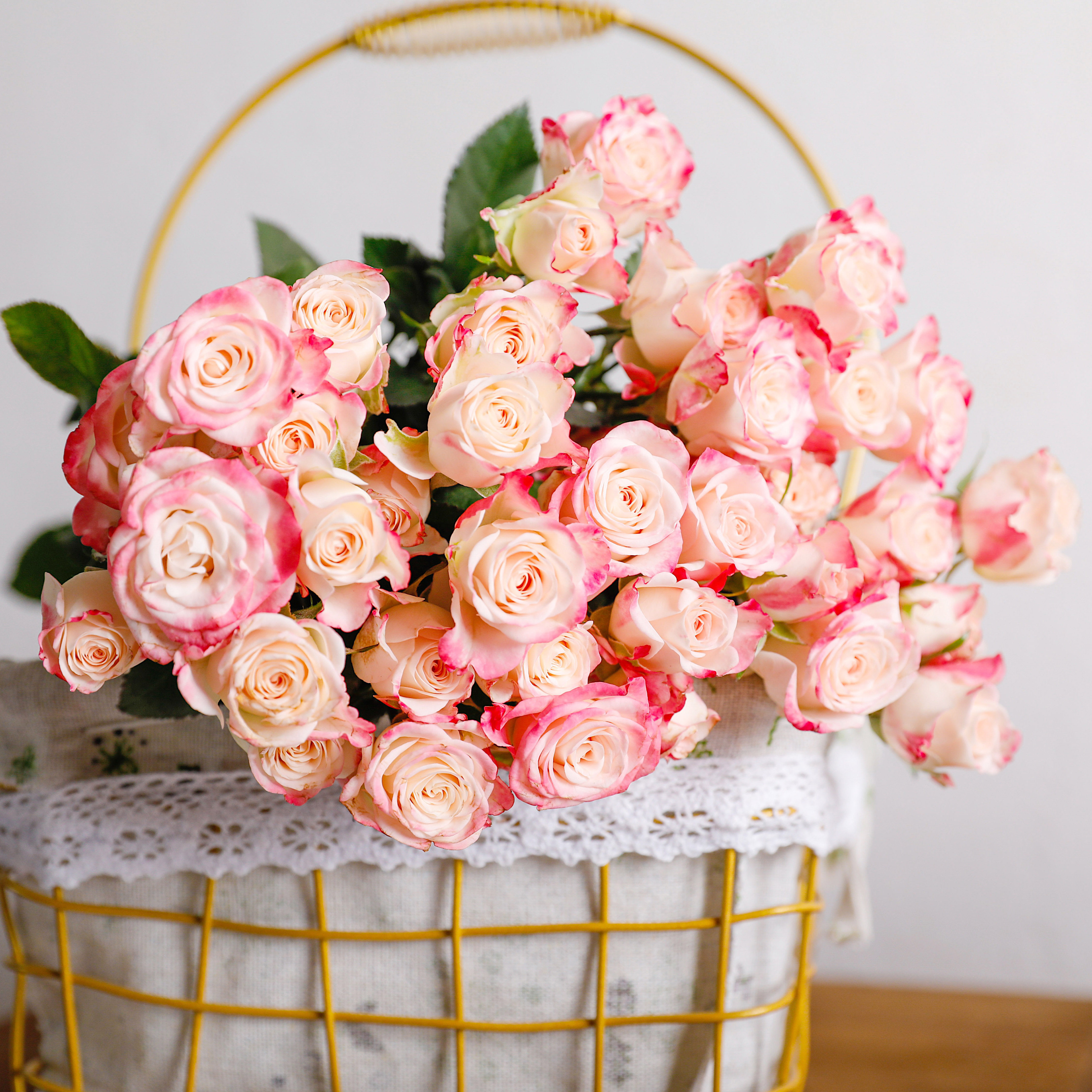 乐作flora鲜花云南直发折射多头玫瑰可作干花鲜花速递(同城)