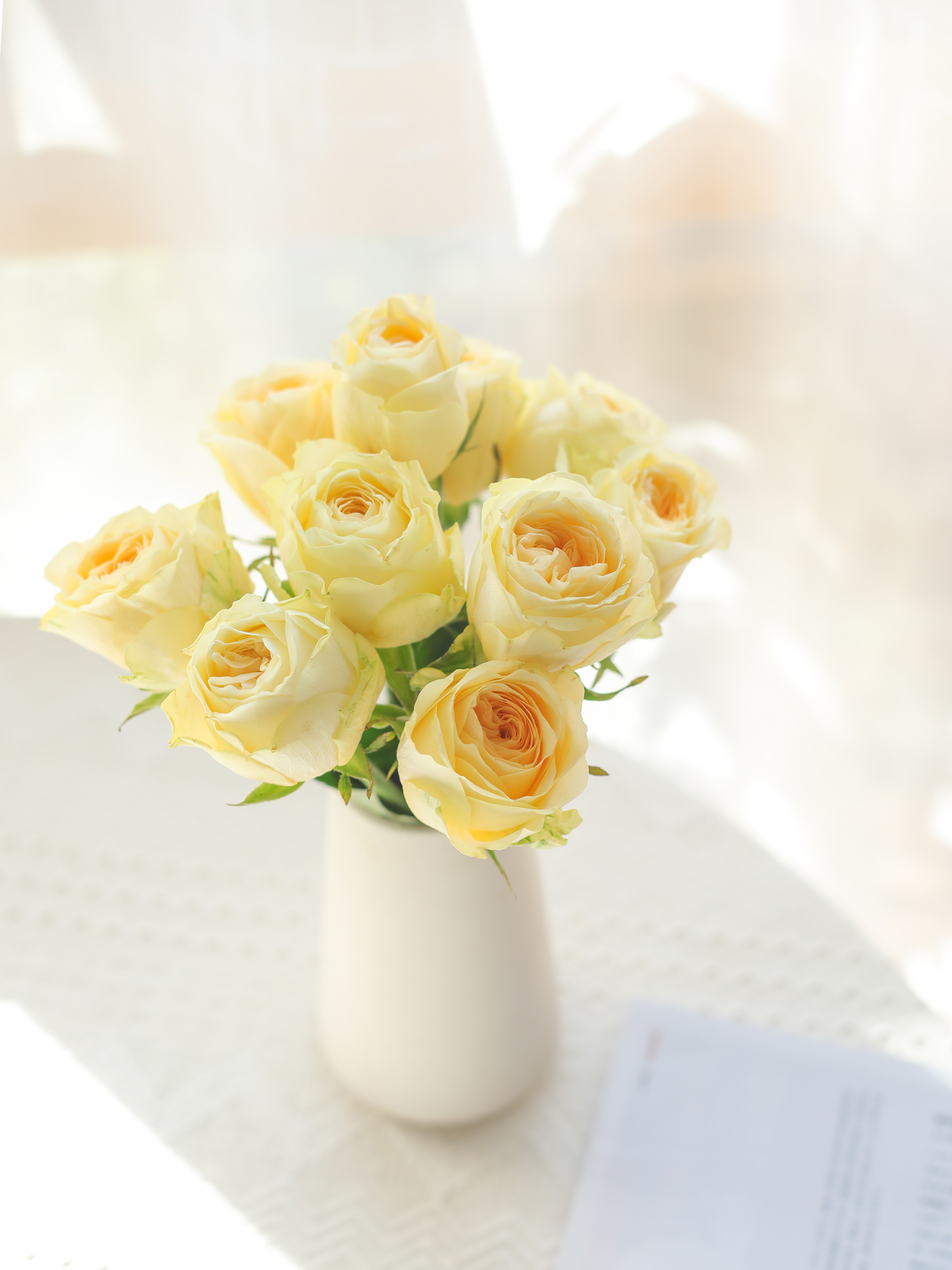 乐作flora|稀有品种 暖玉 玫瑰 奥斯汀花型10枝 空运包邮 非现货