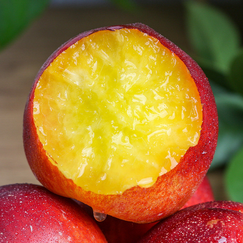 黄心油桃5斤新鲜水果应季桃子当季水蜜桃孕妇桃