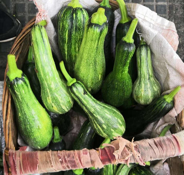 南瓜新鲜长条嫩南瓜条状小小南瓜农家自种应季南瓜