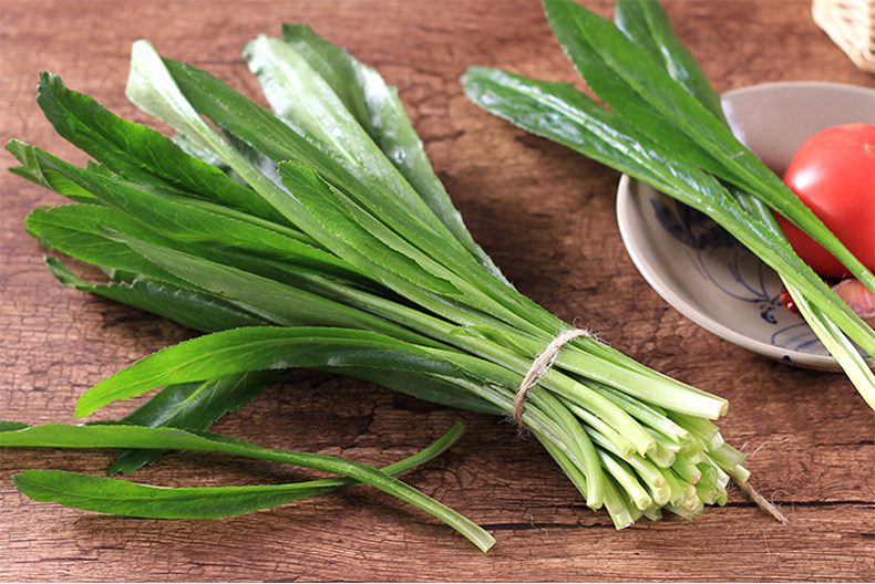 云南南大香菜新鲜老缅芫荽傣族香料德宏宏大其它